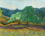 Westerheide Hilversum